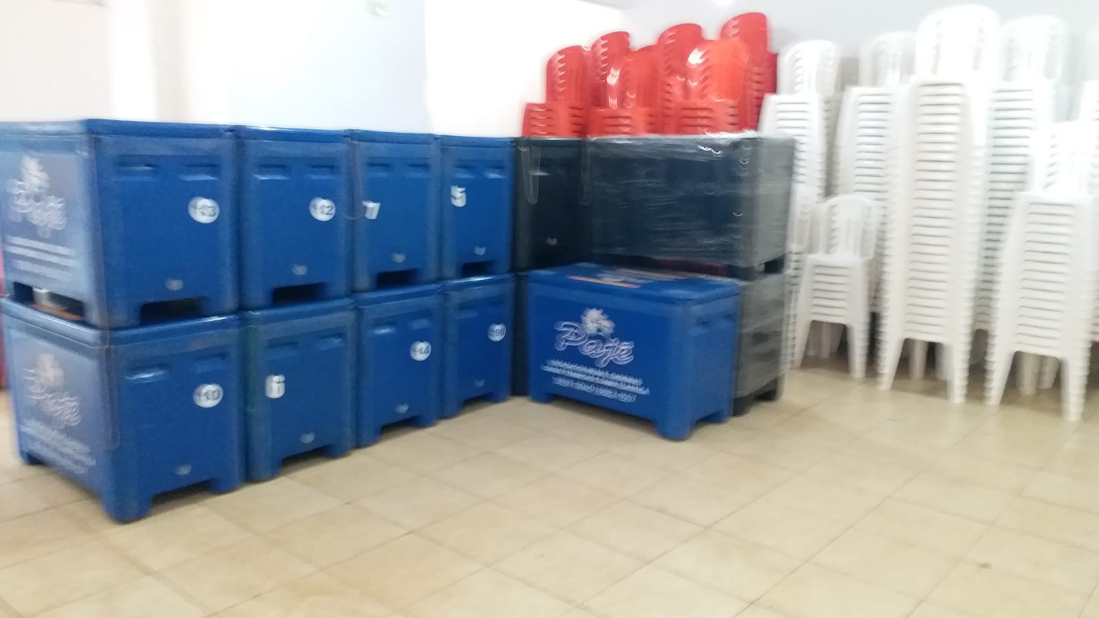 Caixas térmicas organizadas